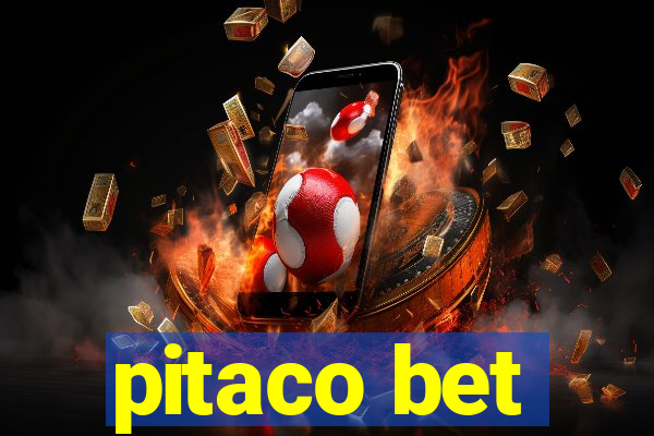 pitaco bet